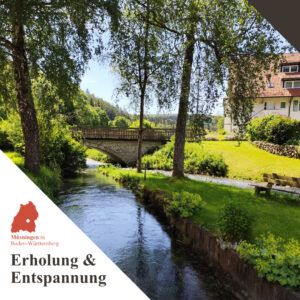 Beitrag Die Wittstaig Erholung pur